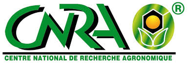 téléchargement (8)